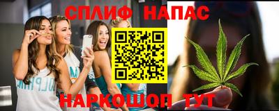 apvp Канаш
